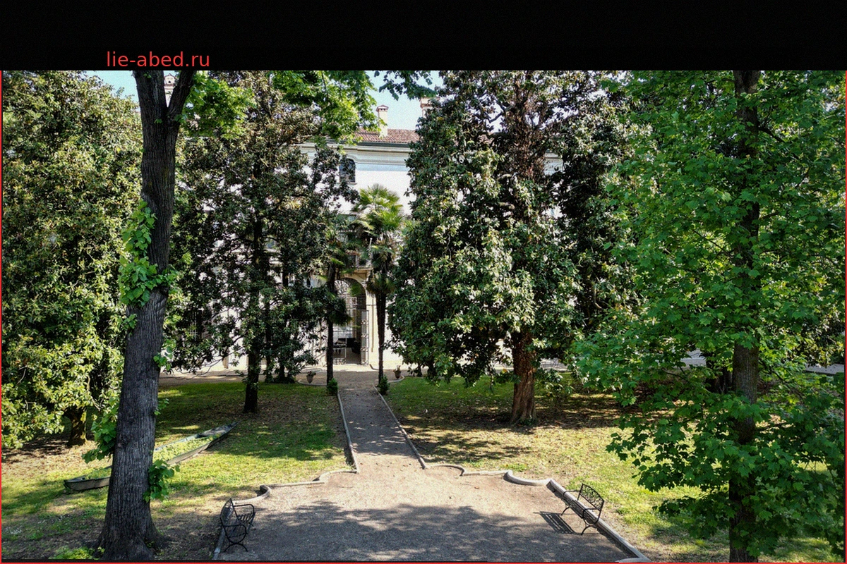 Памяти Энди Роккелли: Сад Исследований в Павии, посвященный фотожурналисту, погибшему на Донбассе в 2014 году