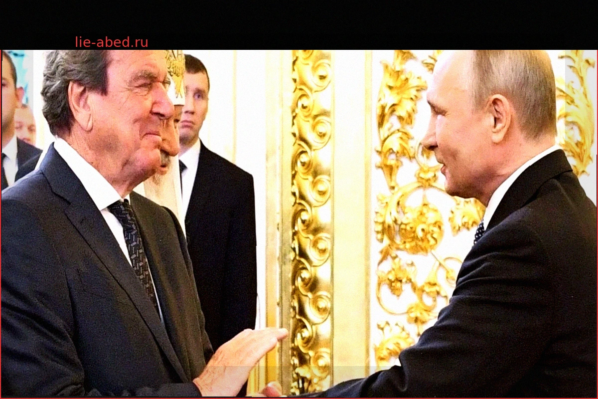 Война в Украине: Герхард Шредер как посредник? Разделенные реакции на предложение Путина